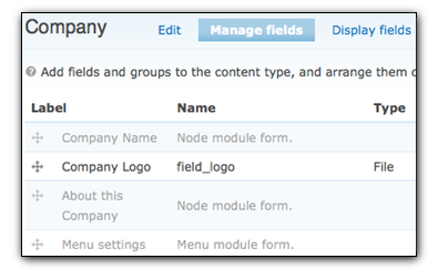 company content type's fields