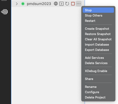 Screenshot of contextual menu of DDEV Manager extension