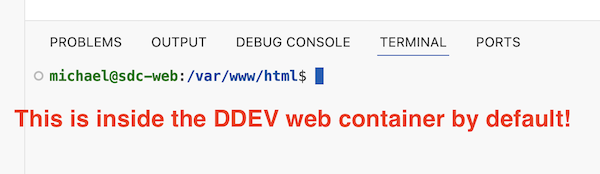 Screenshot of VSCode terminal connected directly to the DDEV web container.