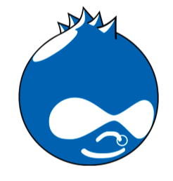 Drupal rockstar